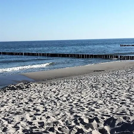 Walfisch Zingst